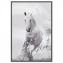 White Stallion Horse Art Print