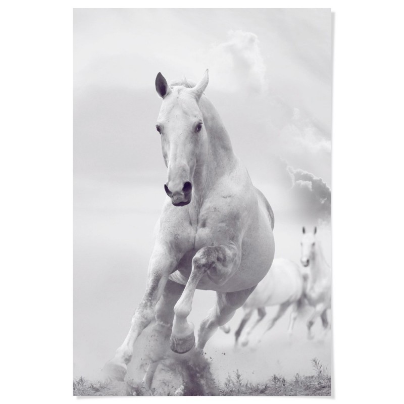 White Stallion Horse Art Print