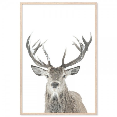 Winter Deer Art Print