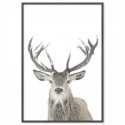 Winter Deer Art Print