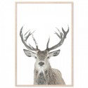 Winter Deer Art Print