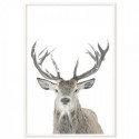 Winter Deer Art Print