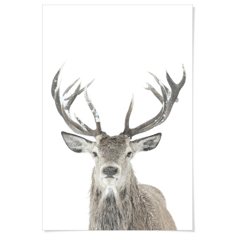 Winter Deer Art Print