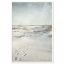 Lost In The Dunes Art Print