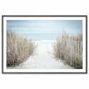 Secluded Beach Art Print