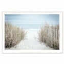 Secluded Beach Art Print