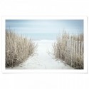 Secluded Beach Art Print