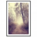 Country Road Art Print