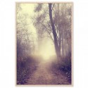 Country Road Art Print