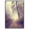 Country Road Art Print