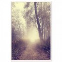 Country Road Art Print