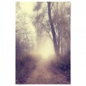 Country Road Art Print