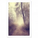 Country Road Art Print