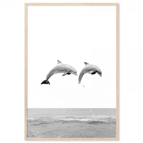 Two Dolphins Art Print