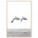 Two Dolphins Art Print