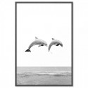 Two Dolphins Art Print