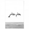 Two Dolphins Art Print