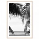 Palm Beach Art Print