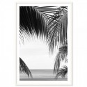 Palm Beach Art Print