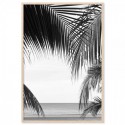 Palm Beach Art Print