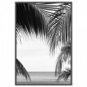 Palm Beach Art Print