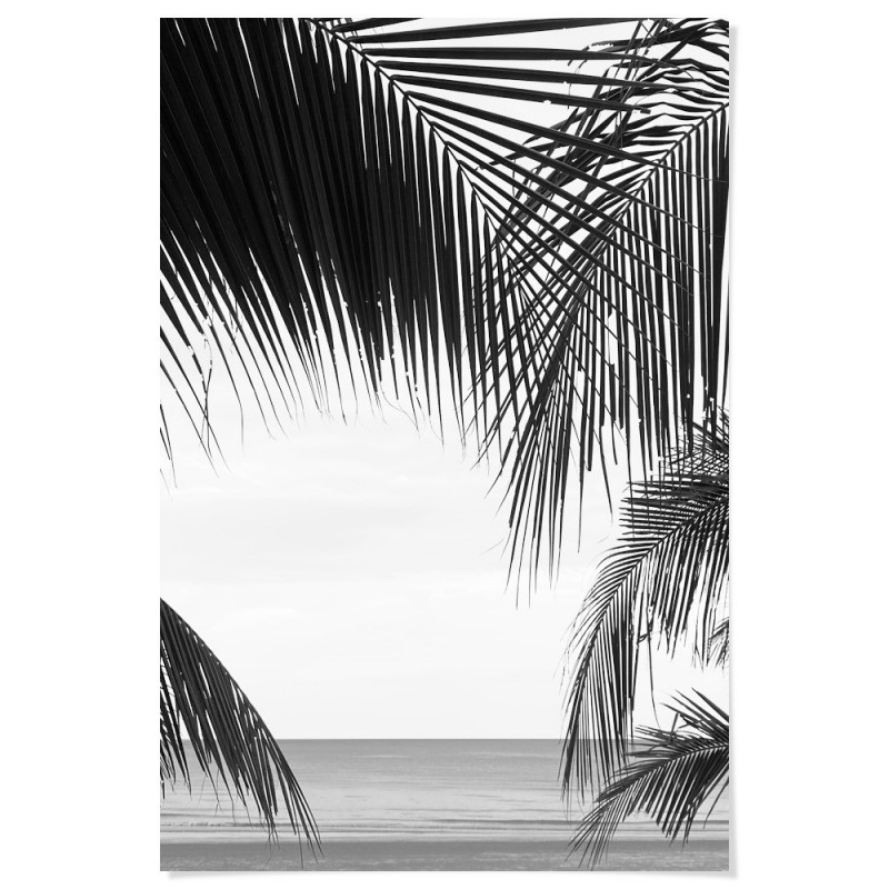 Palm Beach Art Print