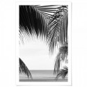 Palm Beach Art Print