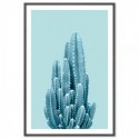 Blue Cactus Art Print