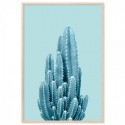 Blue Cactus Art Print