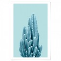 Blue Cactus Art Print