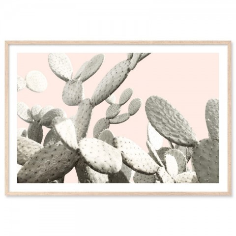 Desert Cactus Pear Art Print