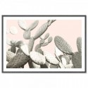 Desert Cactus Pear Art Print