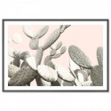 Desert Cactus Pear Art Print