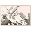 Desert Cactus Pear Art Print