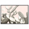 Desert Cactus Pear Art Print