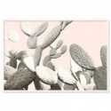 Desert Cactus Pear Art Print