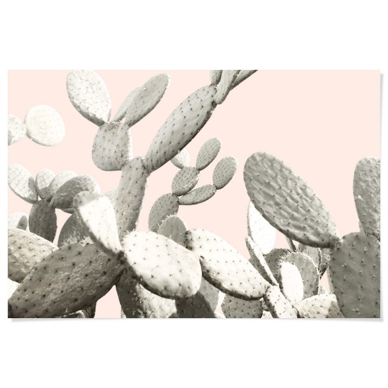 Desert Cactus Pear Art Print