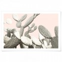 Desert Cactus Pear Art Print