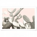 Desert Cactus Pear Art Print