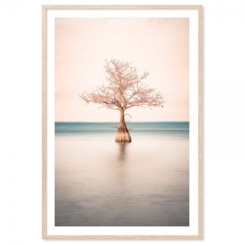 Lone Cypress Tree Lake Art Print