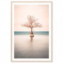 Lone Cypress Tree Lake Art Print