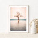 Lone Cypress Tree Lake Art Print