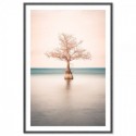 Lone Cypress Tree Lake Art Print