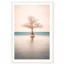 Lone Cypress Tree Lake Art Print