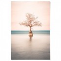 Lone Cypress Tree Lake Art Print