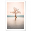 Lone Cypress Tree Lake Art Print