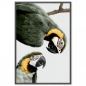 Macaws Meeting Art Print