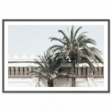 Moroccan Palms Art Print