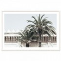 Moroccan Palms Art Print