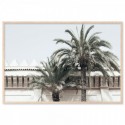 Moroccan Palms Art Print